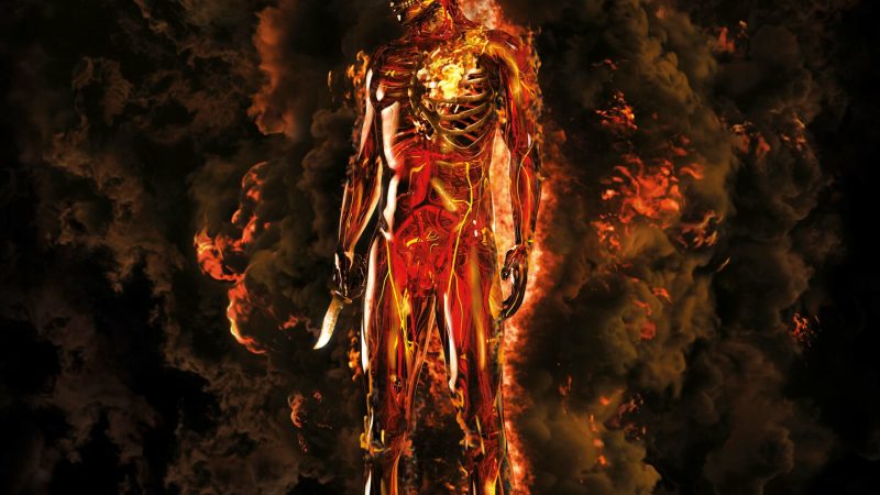 Meshuggah regresa firme y poderoso con Immutable