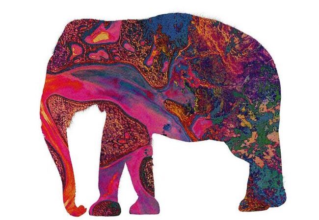 Cancionero Rock: «Elephant» – Tame Impala (2012)