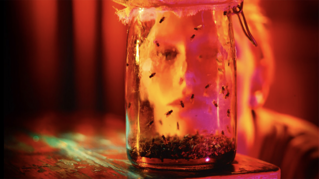 El experimento de las moscas, la vida y la muerte: La historia de la portada de «Jar of Flies» de Alice in Chains